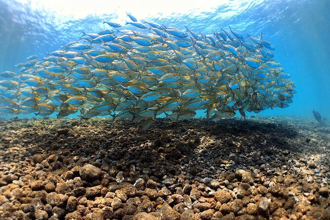 Discover Scuba Diving Tulamben Bali For Non-Certified Divers - The Long Morning Starts in Sanur, Not at the Shore