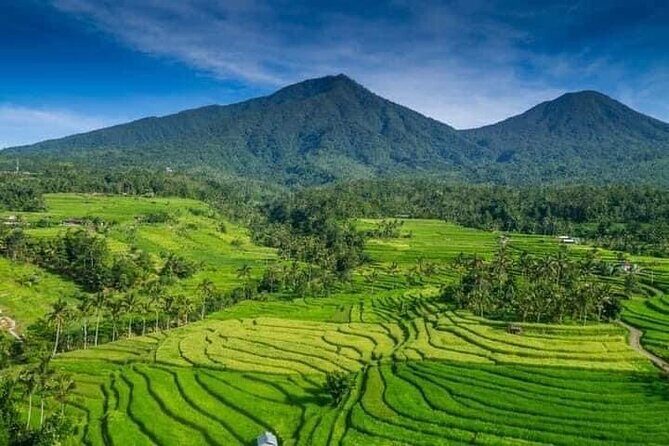 Explore Munduk Customized 8 Hour Day Tour in North Bali - Coffee Plantation Stop: The 8-Type Taster Break
