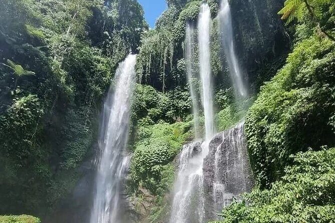 Explore Munduk Customized 8 Hour Day Tour in North Bali - Optional Lunch: When It’s Worth Adding