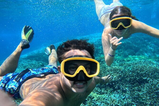 From Bali: Nusa Penida Full Day Tour and Snorkeling - What You’re Really Paying For (and Why It Can Be Good Value)
