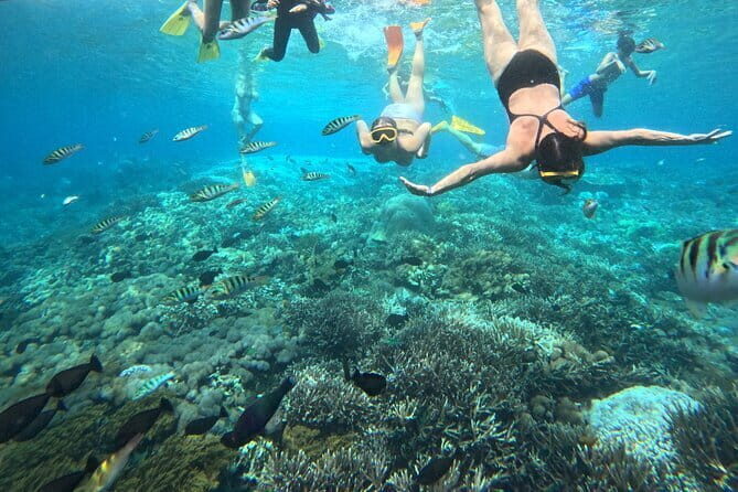 From Bali: Nusa Penida Full Day Tour and Snorkeling - Gamat Bay + Manta Bay Snorkeling: The Main Event