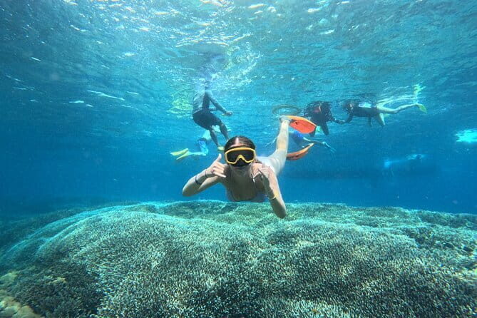 From Bali: Nusa Penida Full Day Tour and Snorkeling - The Day Start: Fast-Boat Transfer + Private Car on Penida