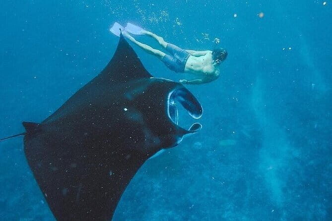 From Bali: Nusa Penida Snorkeling and Island Tour - Key highlights worth knowing