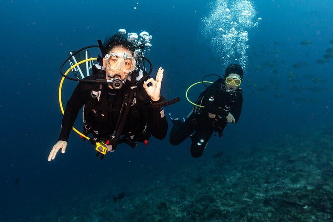 Full-Day Discover Scuba Diving Tour for Beginners in Tulamben - Hotel pickup and timing: how your day is likely to run