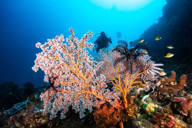 Full-Day Discover Scuba Diving Tour for Beginners in Tulamben - Step-by-step: what you’ll actually do (and why it works)