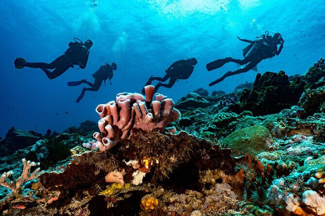 Full-Day Discover Scuba Diving Tour for Beginners in Tulamben - Who this tour fits best (and who should skip it)