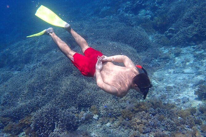 Full-Day Island-Hopping Tour from Bali - Snorkeling plan: three sites, manta chances, and swell-based backups