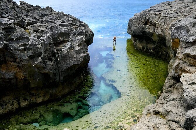 Full Day Nusa Penida Island Beach Tour From Bali - Paluang Cliff at Kelingking: view from the platform, trek only if conditions fit
