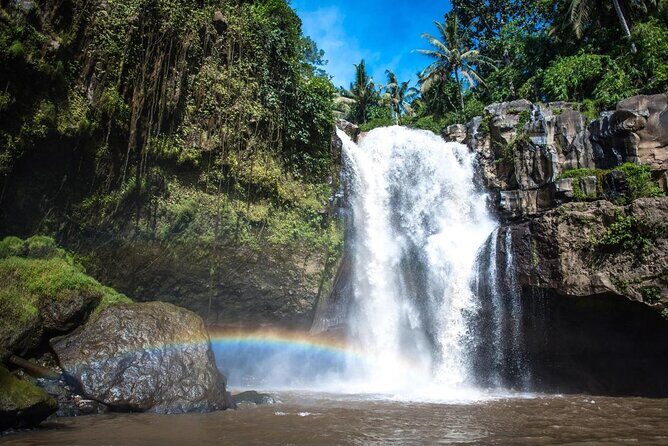 Full Day Private Guided Tour in Bali - Key highlights worth planning for