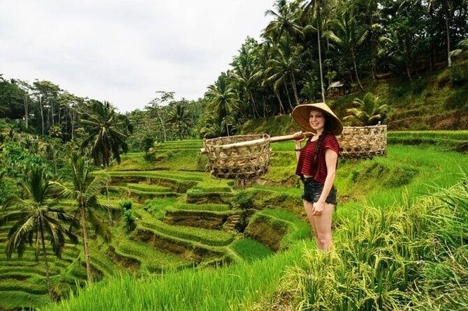 Full Day Private Guided Tour in Bali - How This Private Ubud Day Works From Kuta