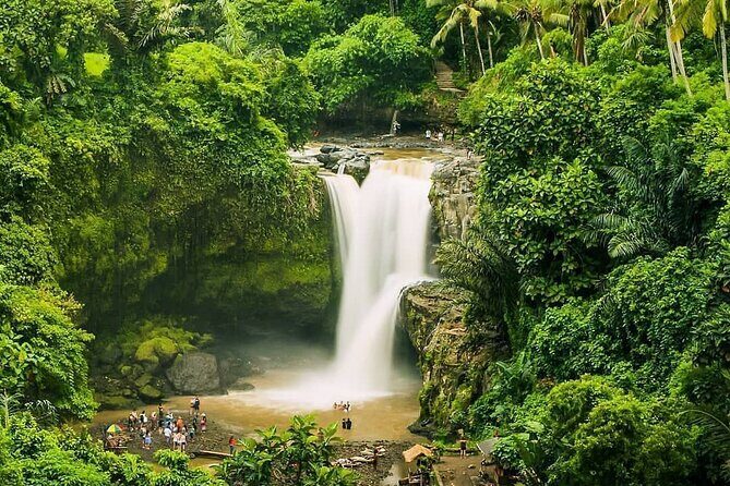 Full Day Private Guided Tour in Bali - Tegenungan Waterfall: Lush Jungle Views and a Timing Question