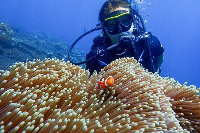 Full-Day Scuba Diving Experience of USAT Liberty in Tulamben - The 07:30 AM Start: What Your Day Looks Like in Real Time