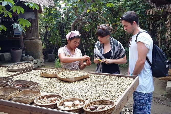 Full-Day Ubud Village including Mt Batur Tirta Empul and Sightseeing Tour - Sari Amerta Batik: seeing motives made by hand