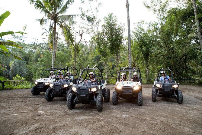 Half Day Jungle Buggies in Bali with Guide - Key takeaways before you go