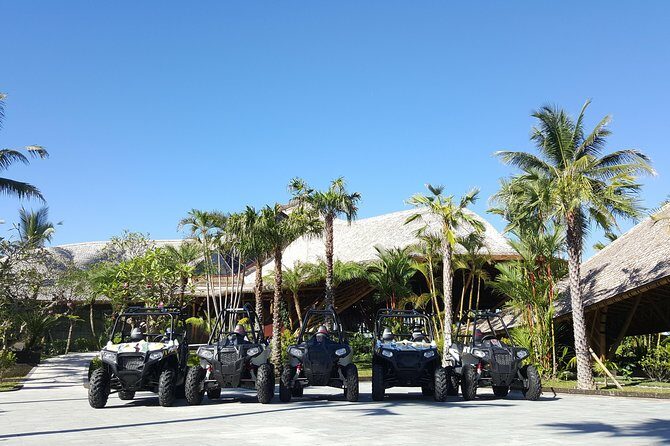 Half Day Jungle Buggies in Bali with Guide - Photo and Video: What’s Included vs. What Costs Extra