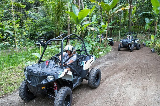 Half Day Jungle Buggies in Bali with Guide - Morning Pickup and the 7:30am Start: How to Plan Your Day
