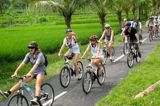 Halo Bike Cycling Tour Downhill - From pickup to pedals: how the day actually starts
