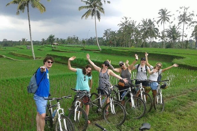 Halo Bike Cycling Tour Downhill - 90% downhill: fun speed, real-road awareness