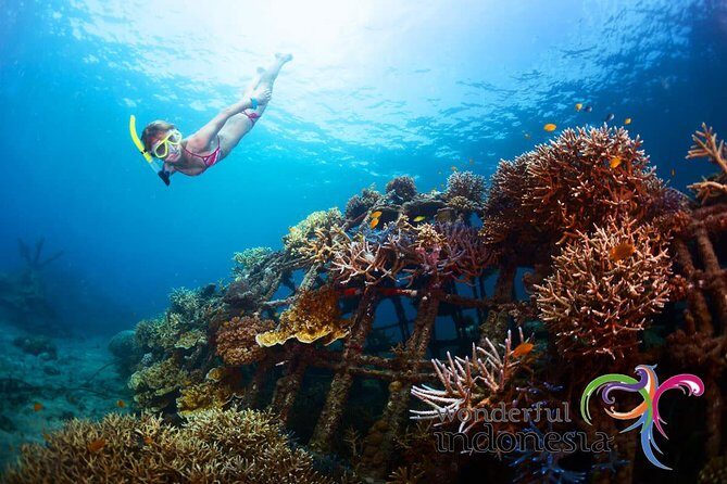 Have fun 1 day in Nusa Penida: snorkeling, kelingking & broken beach incl lunch - Key highlights to know before you go