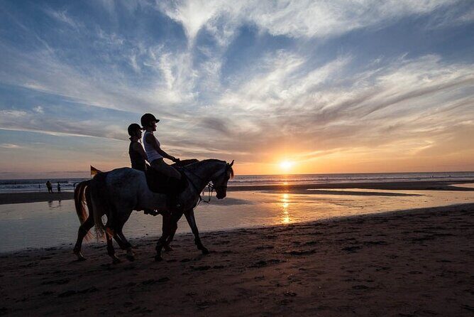 Horse Riding on the Black Sand Beach and Free Hotel Transfers - Key Points at a Glance