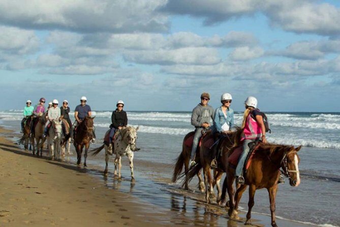 Horse Riding on the Black Sand Beach and Free Hotel Transfers - Black Sand, Sea Breeze, and the Photo Moment You Can Plan