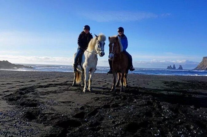 Horse Riding on the Black Sand Beach and Free Hotel Transfers - What Happens During the 4-Hour Saba Beach Horse Ride