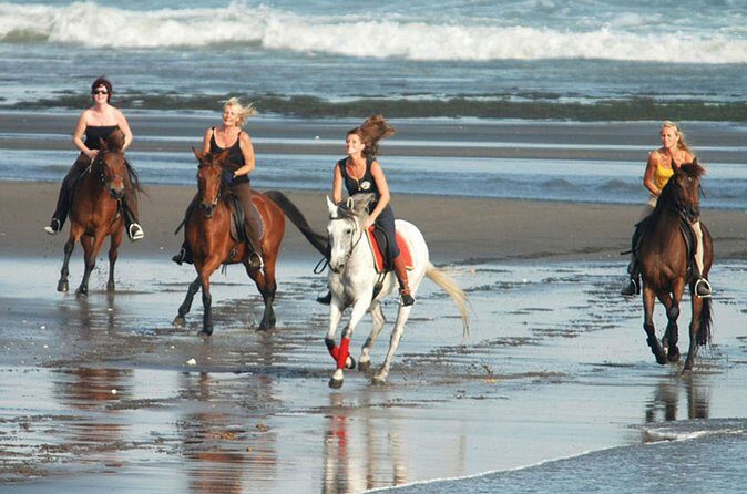 Horse Riding on the Black Sand Beach and Free Hotel Transfers - Price and Value: Is $74 Worth It in Nusa Dua?