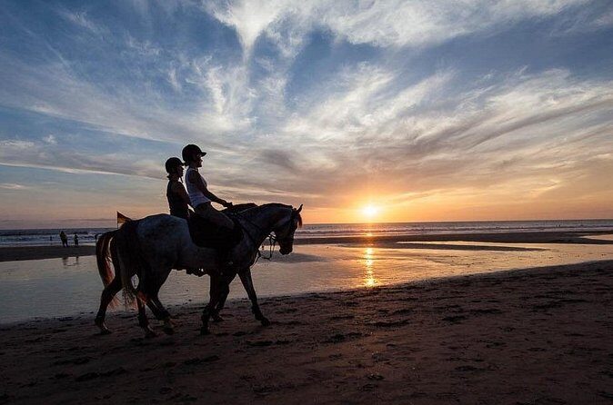 Horse Riding on the Black Sand Beach and Free Hotel Transfers - Who This Horse Ride Suits Best