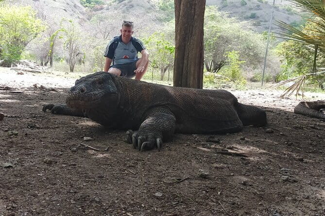 Komodo Island Adventure from Bali (Day Trip) - Siaba Island (Pulau Siaba Besar): Turtle City in the water