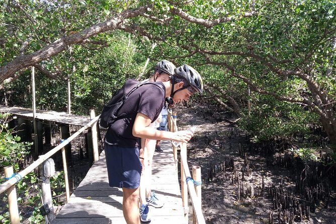 Kuta Beach eBike Private Tour - Ekowisata Bali: mangrove wildlife, farms, and how locals use them