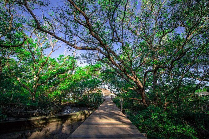 Kuta Beach eBike Private Tour - Lunch at a Balinese warung: what makes it more than a checkbox