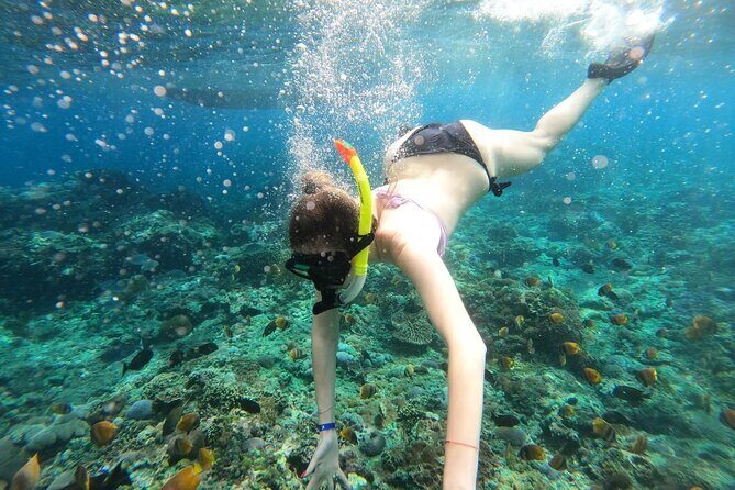 Manta Bay Snorkeling Adventure with Kelingking Beach Nusa Penida All Inclusive - From Jimbaran to Sanur: the fast-boat rhythm