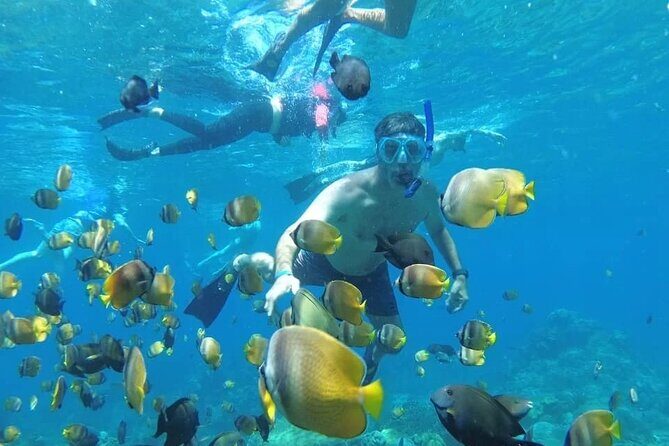 Manta Bay Snorkeling Adventure with Kelingking Beach Nusa Penida All Inclusive - The photo machine stops: Kelingking Beach and Broken Beach