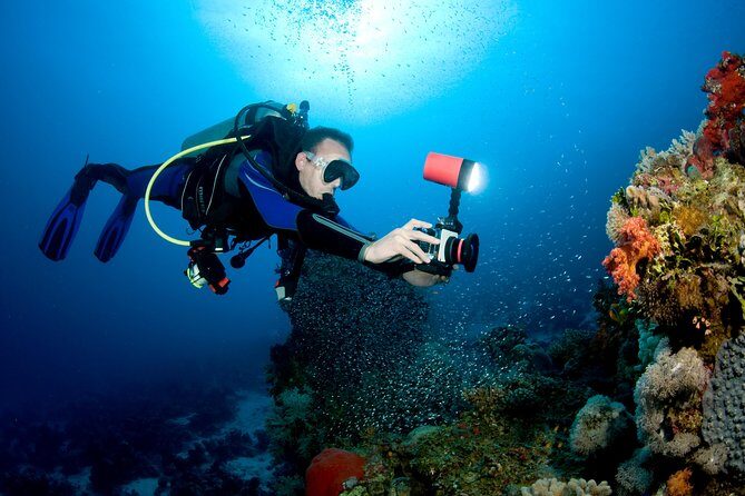 Menjangan island for Certified Scuba Divers full day boat trip, 2 dives + lunch - Menjangan Marine Park fee: the part you pay in cash