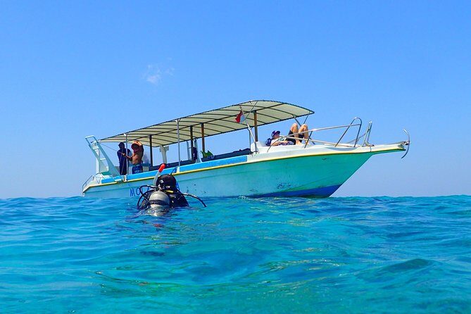 Menjangan island for Certified Scuba Divers full day boat trip, 2 dives + lunch - Stop 1: Menjangan Island inside Bali Barat National Park