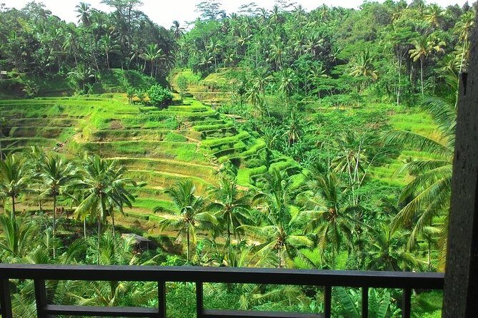 Monkey Forest, Ubud, Waterfall and Rice Terrace - Pickup in Bali and How to Plan for a 7–8 Hour Day