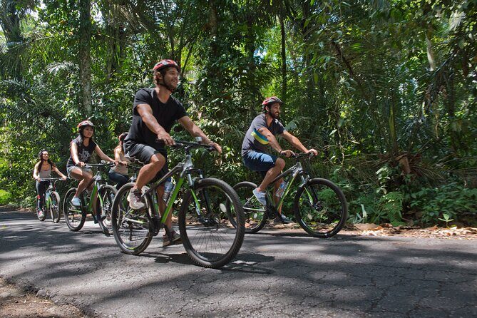 Mountain Cycling Tour - What the Ride Feels Like: Effort Level, Gears, and Brakes