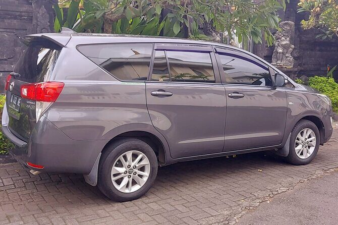 Ngurah Rai International Airport Private Arrival Transfer - Who This Transfer Suits Best in Bali
