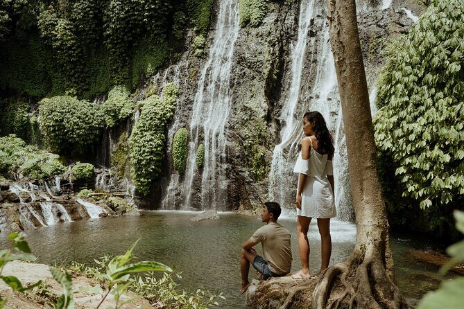 North Bali Hidden Gems Tour Ulun Danu Temple Twin Lakes Waterfall - What kind of traveler should book this?