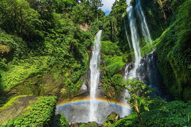 North Bali: Sekumpul Waterfalls and Ulun Danu Temple Tour - Group size, comfort, and how the day will feel