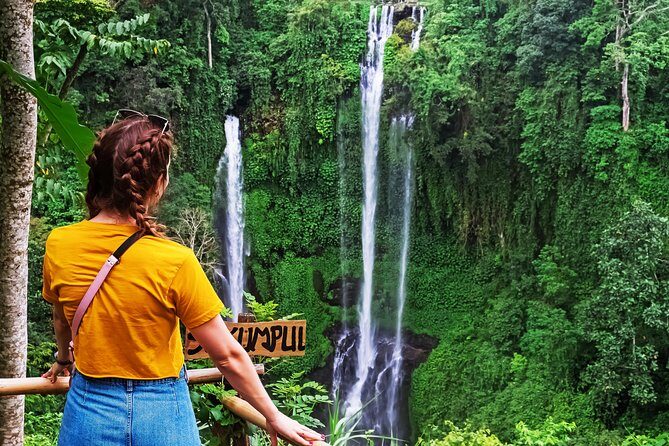 North Bali: Sekumpul Waterfalls and Ulun Danu Temple Tour - Who should book this tour (and who should skip)