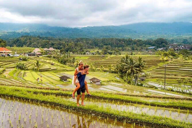 Northern Bali Tour - Private Full Day Tour - All Inclusive - A private northern Bali route that actually works