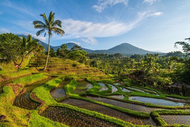 Northern Bali Tour - Private Full Day Tour - All Inclusive - Taman Ayun Temple: a royal water temple with UNESCO-level atmosphere