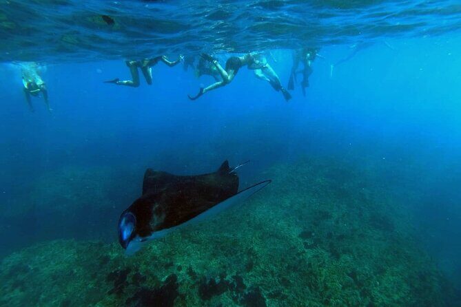 Nusa Penida 4 Spot Snorkeling with Manta and Island Tour - Quick hits before you go