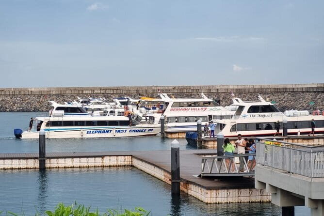 One-way Ticket Fast Boat from Sanur Bali or Nusa Lembongan - Choosing Jungut Batu vs Mushroom Bay: Pick the Port That Fits Your Hotel