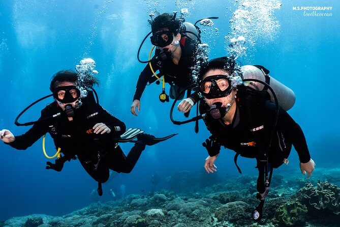 Open Water Course in Pemuteran - Get Certified in Bali - Stop 1: Pantai Pemuteran and early water confidence