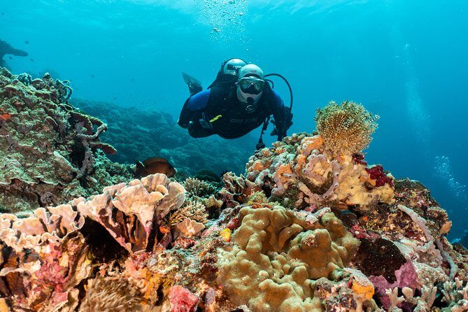 Open Water Course in Pemuteran - Get Certified in Bali - Price and value: what $379.18 covers, and what to budget