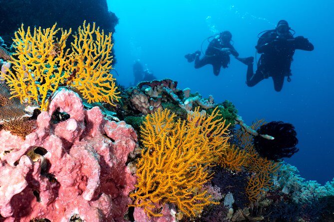 Open Water Course in Pemuteran - Get Certified in Bali - Pool or shallow training first: why this order matters