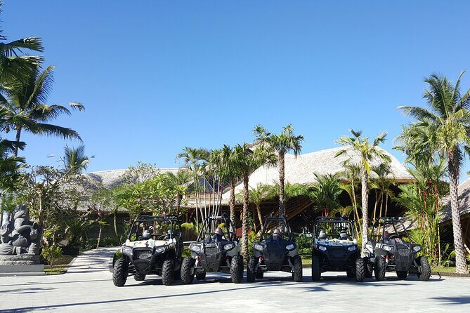 Premium White Water Rafting and Jungle Buggies in Bali - Safety vibe: how this tour balances thrill and control