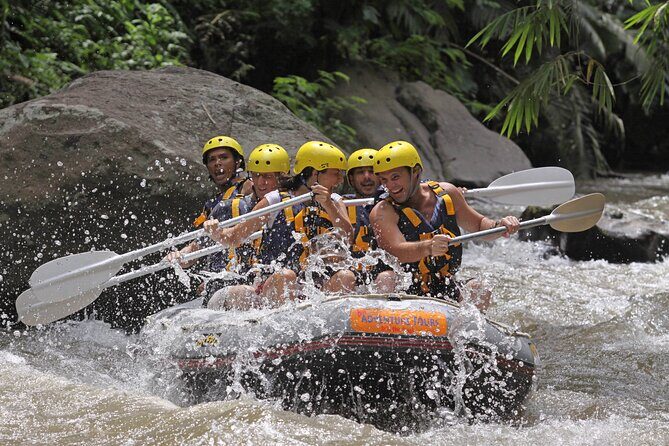 Premium White Water Rafting and Jungle Buggies in Bali - Jungle buggy at Mason: guided trails and driver responsibility